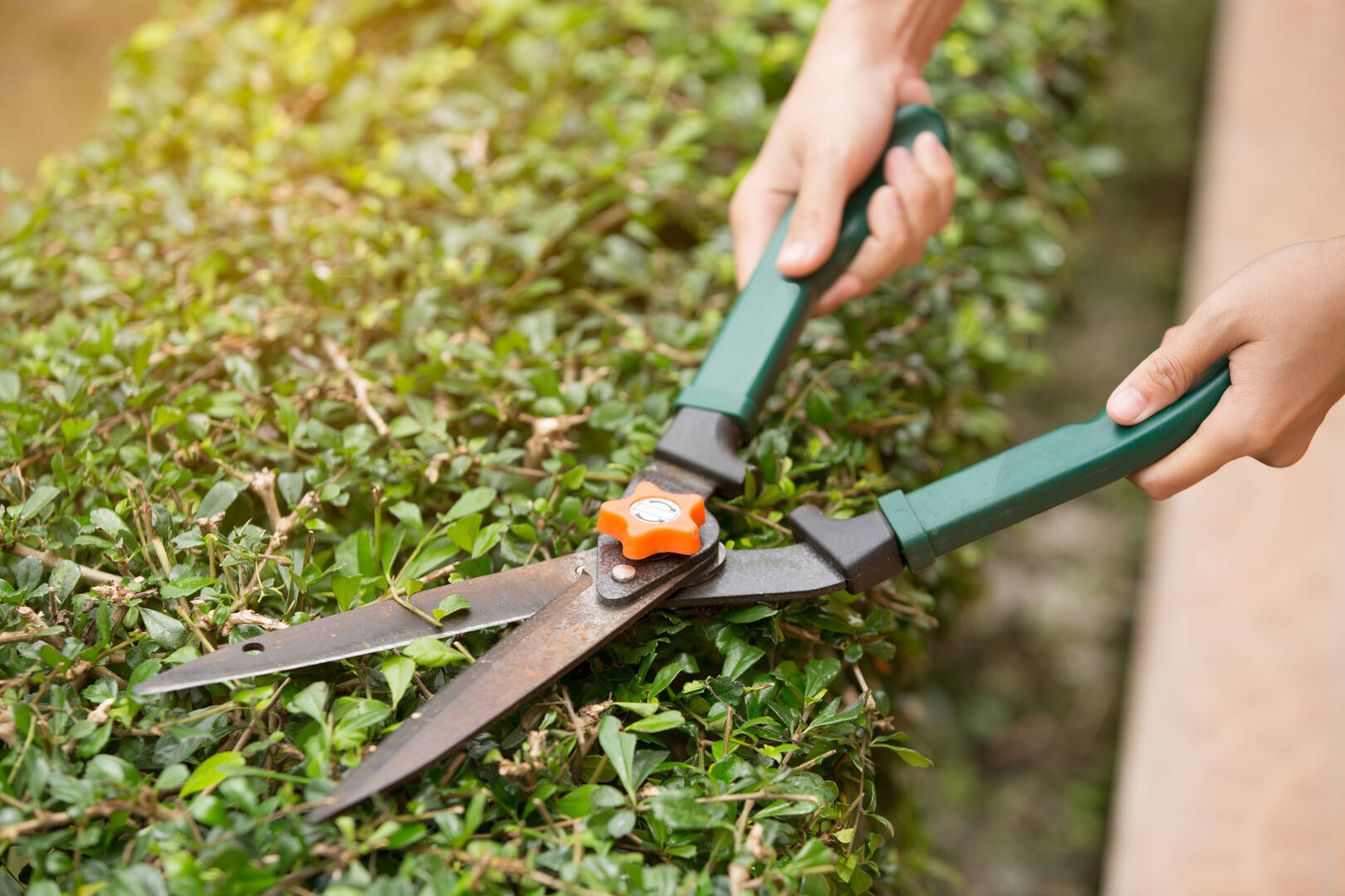 Stuckman Tree Experts Inc.