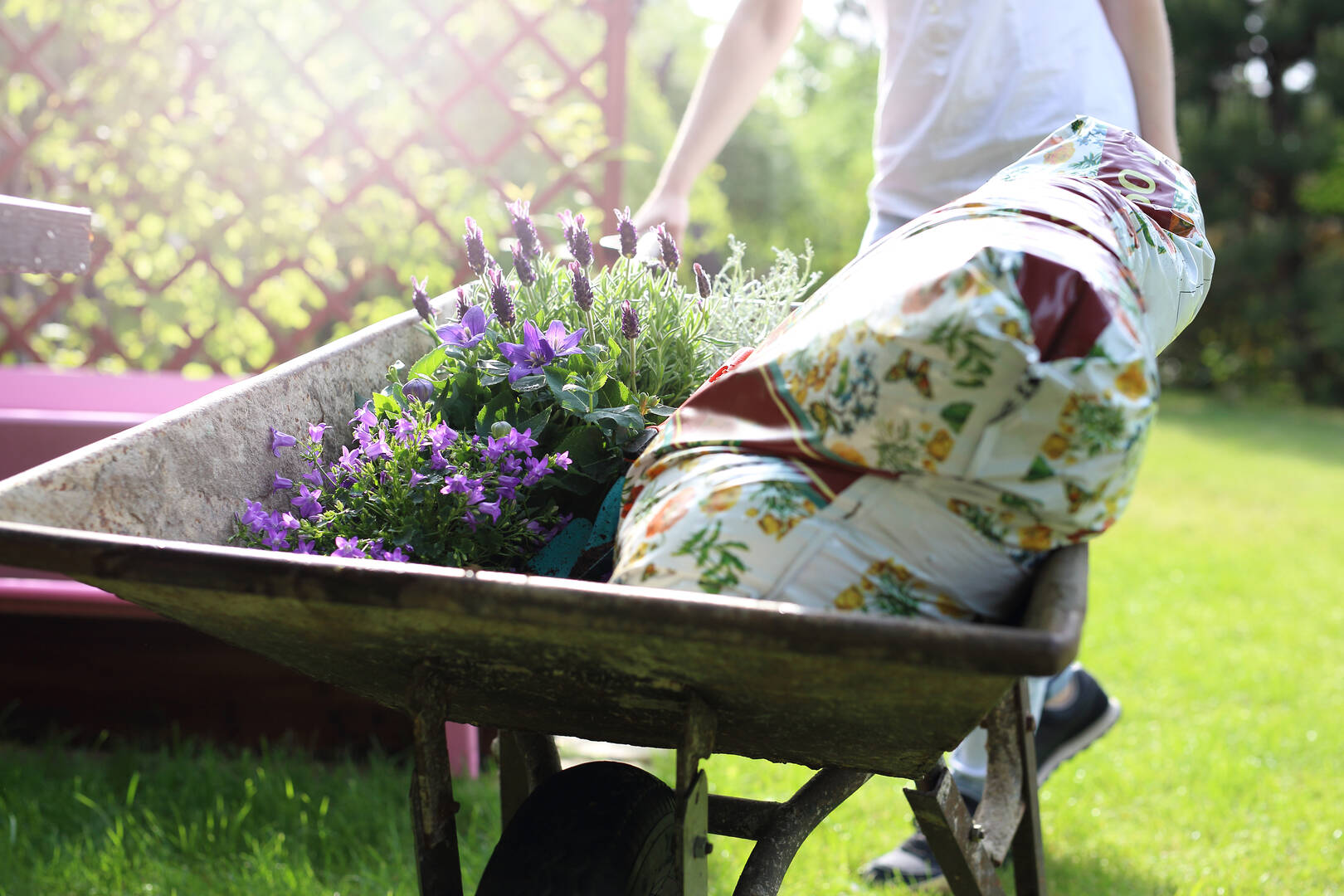 Red Mill Landscaping & Nursery