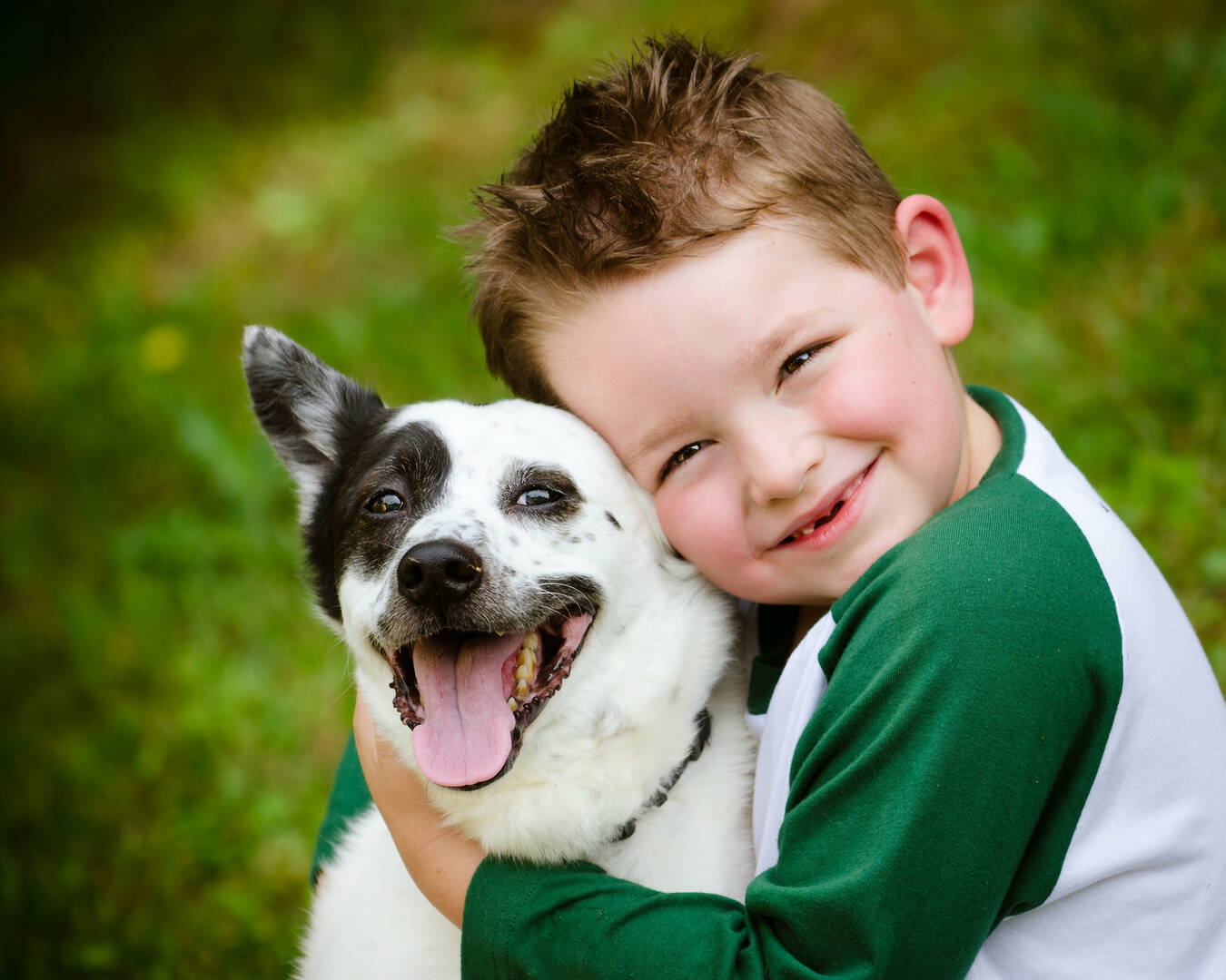 Franklin Veterinary Associates