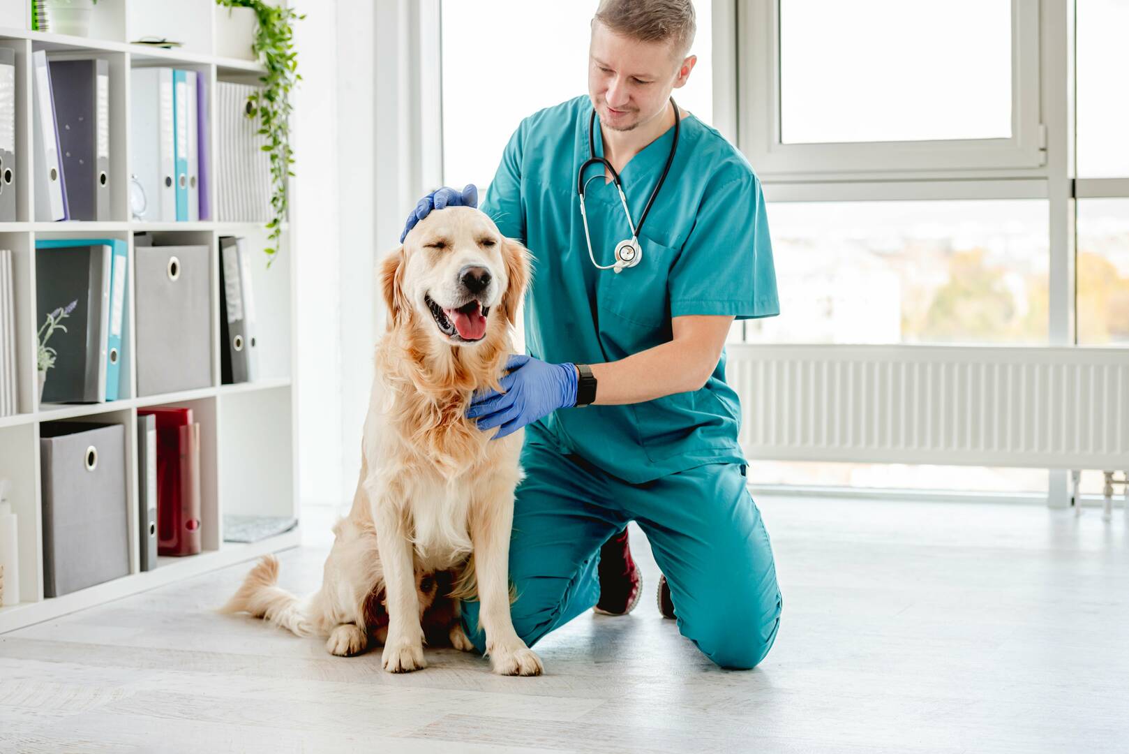 All Creatures Animal Care Center