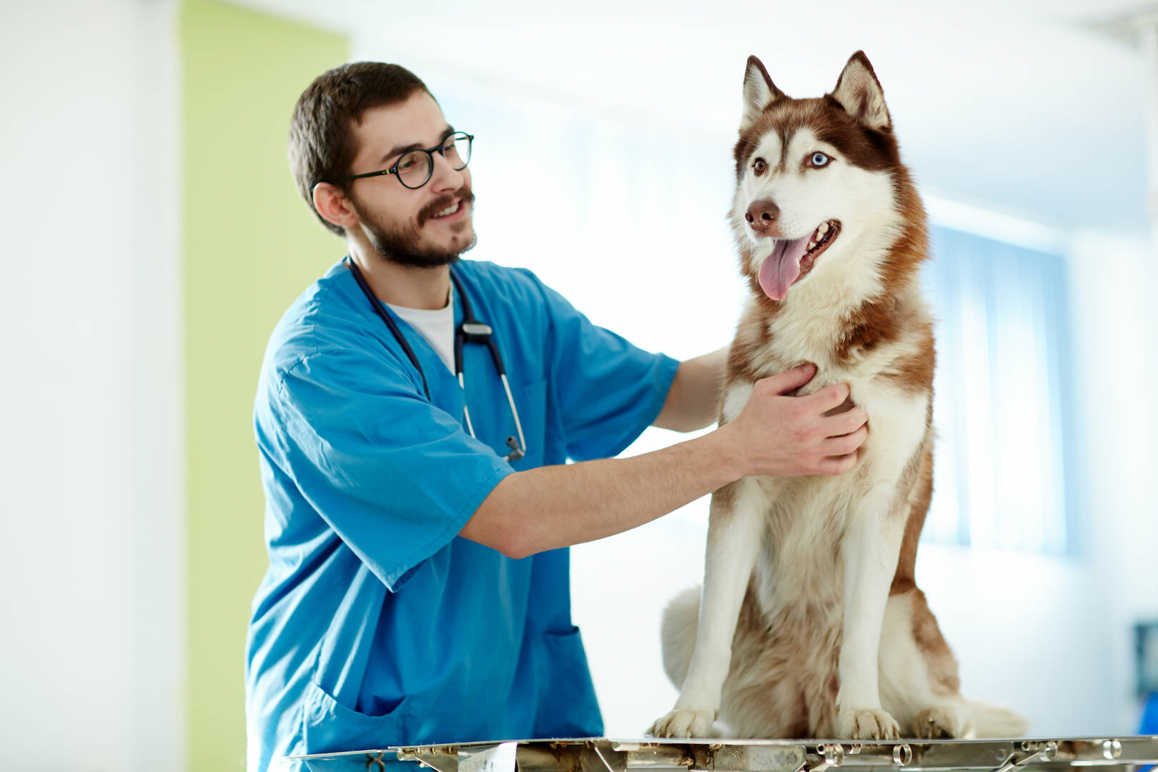 Out of This World Dog Training